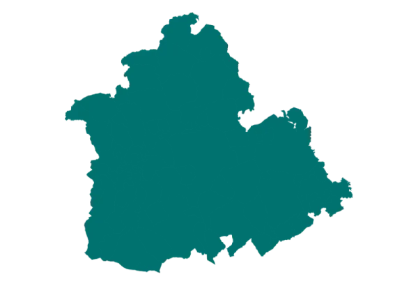Silueta del mapa de Bolivia en verde